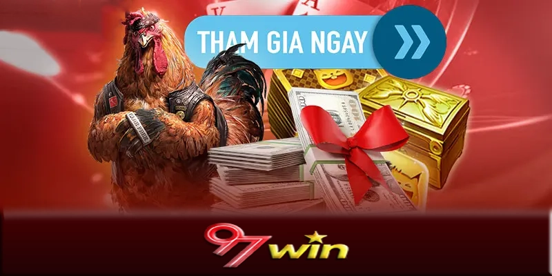 Một số lưu ý quan trọng khi chơi đá gà 97Win